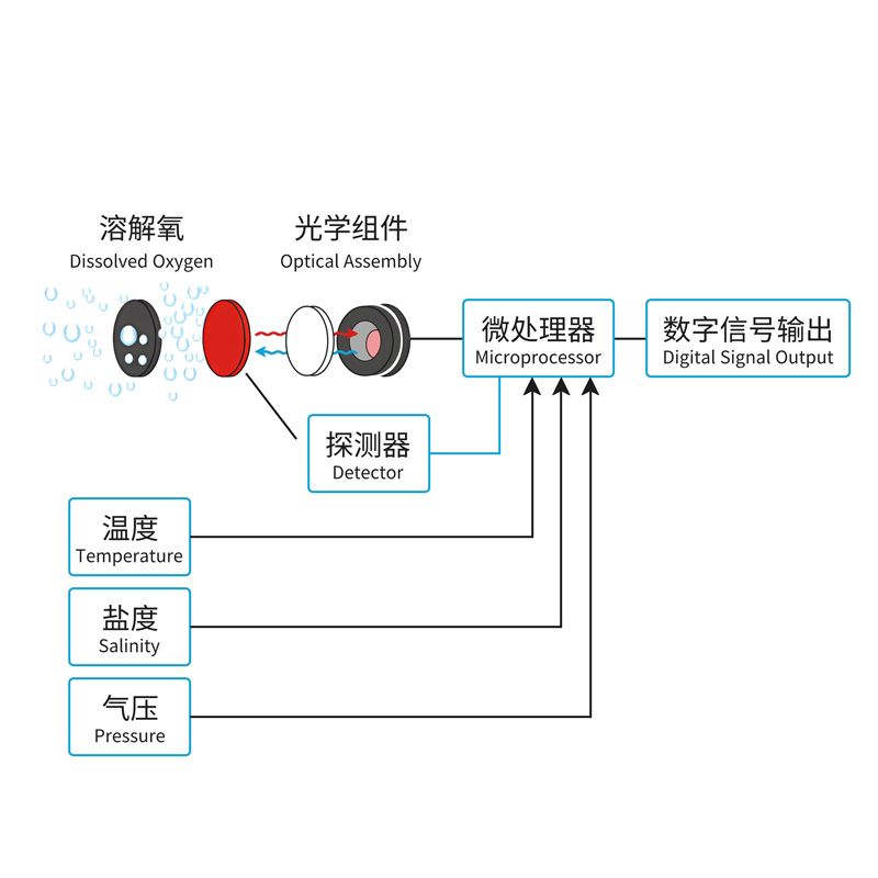 在线溶氧传感器工作原理